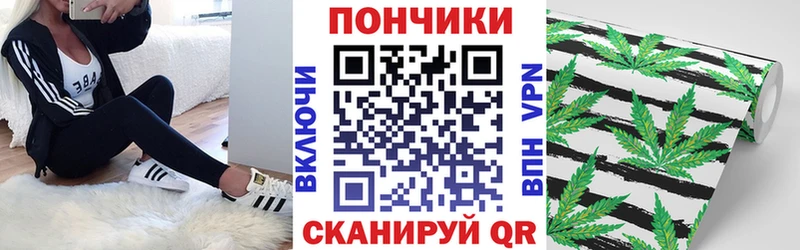 Где можно купить наркотики Курчатов АМФЕТАМИН  Гашиш  A PVP  Codein  Кокаин  Каннабис 