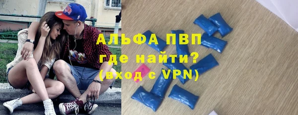 молекула духа Пересвет