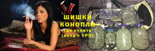 сатива Михайлов