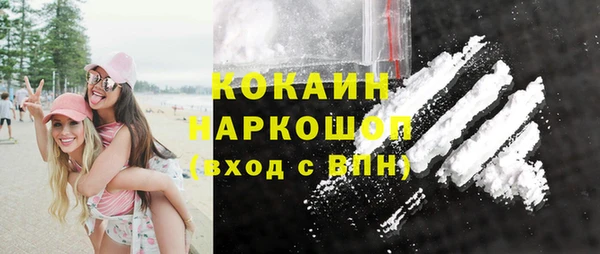 стаф Алексин