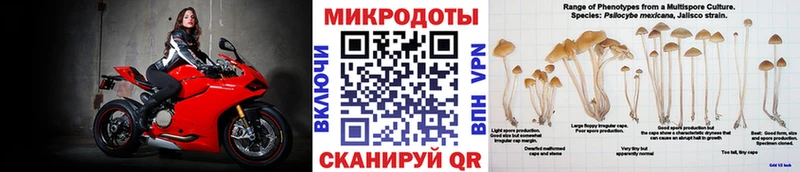 Псилоцибиновые грибы прущие грибы  продажа наркотиков  Курчатов 